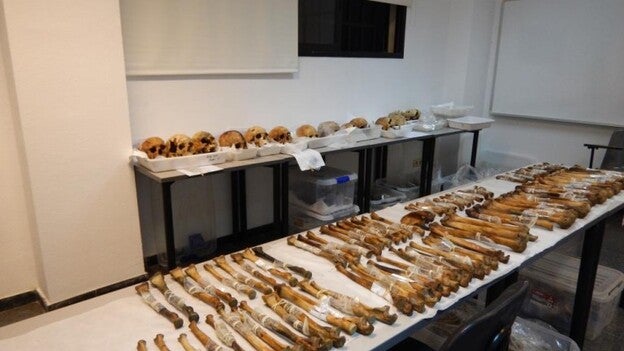 El ADN del pozo de Tenoya siembra esperanza