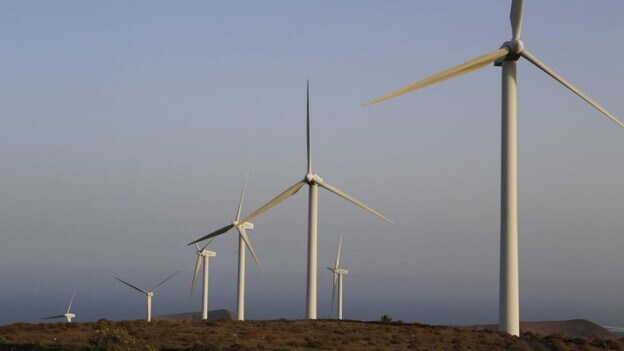 Las nuevas subastas pondrán a Canarias a la cabeza en renovables, según sector