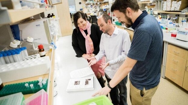 El coste del cáncer es de 7.168 millones, un 10,9% del gasto sanitario