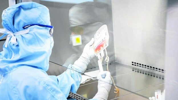 Células madre del cordón umbilical