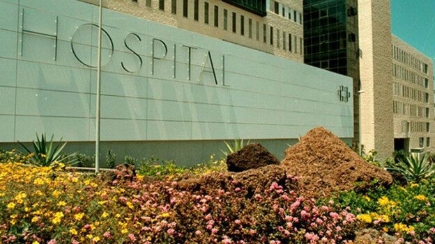 Los hospitales del Servicio Canario realizan casi 500 trasplantes de órganos y tejidos en 2017