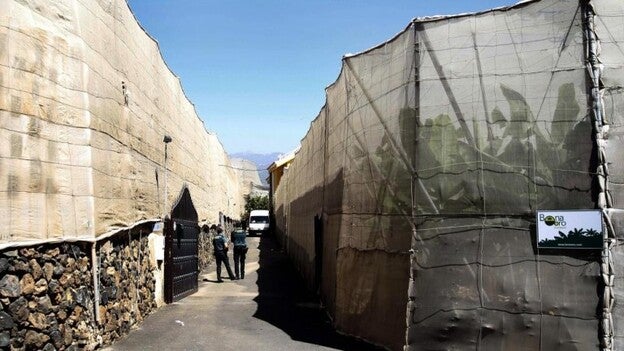 El hijo y nieto de las víctimas confiesa el triple crimen