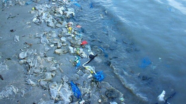 Las microfibras sintéticas en el mar, un grave problema