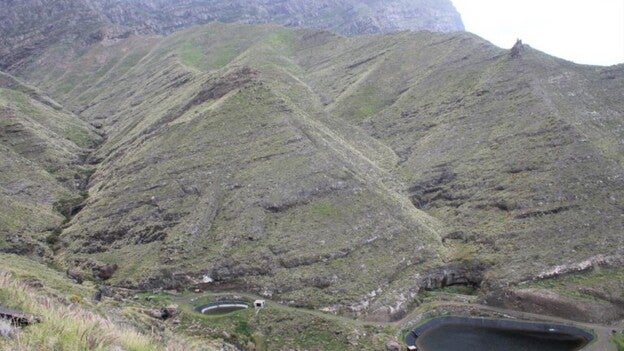 Compromiso con los bosques