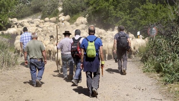 La trashumancia más institucional