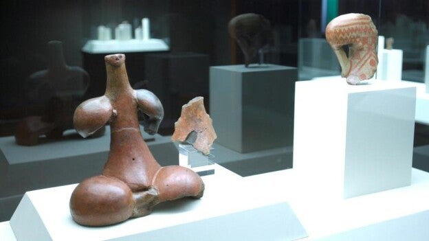 El ídolo de Tara vuelve a el Museo Canario