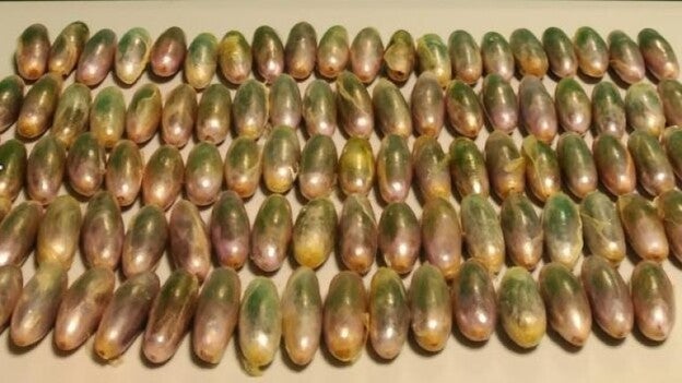 97 cápsulas de hachís en su estómago