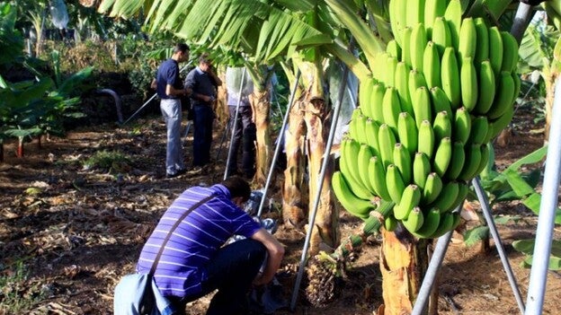 El campo pierde peso en las exportaciones en favor de servicios