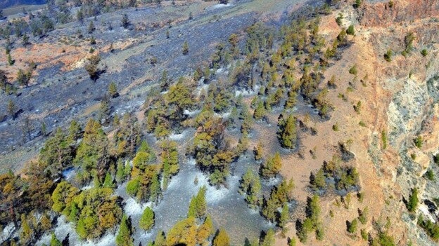 Controlado el incendio de Granadilla