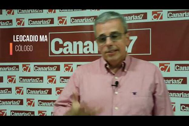 «La capacidad del ser humano para resistir»