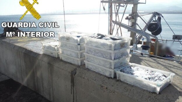 El Seprona denuncia al patrón de una embarcación por la pesca