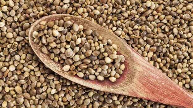 El cáñamo tiene potencial para tratar el cáncer de ovario