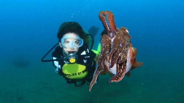 Nemo nunca huiría de aquí