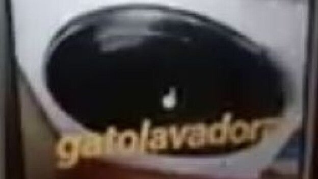 Mata al gato en la lavadora y cuelga el vídeo en internet