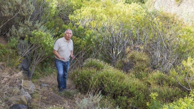 Un jardín hijo del viento y del colegio de El Calero