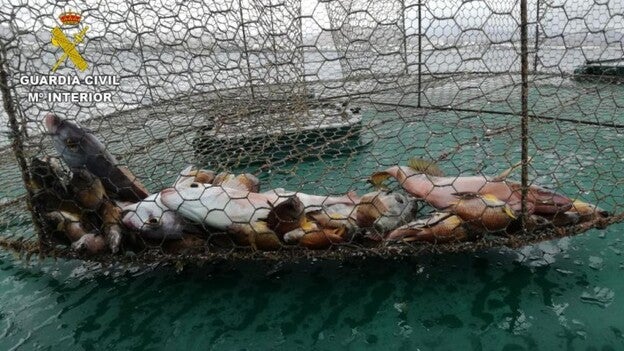 La Guardia Civil interviene tres nasas ilegales en el litoral este de Lanzarote