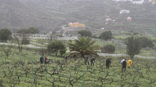 El emprendimiento, en el punto de mira del plan de desarrollo local