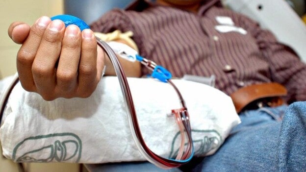 Hace falta más sangre