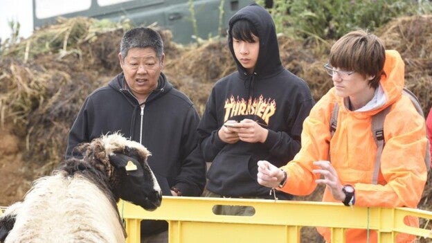 Caideros se llena de tradiciones y de rebaños
