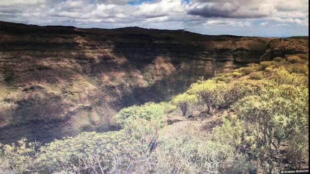 El barranco de Tasarte, ofrecido en venta al Cabildo
