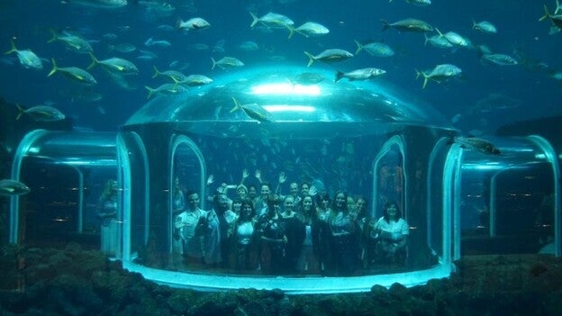 Apuesta firme por los jóvenes diseñadores