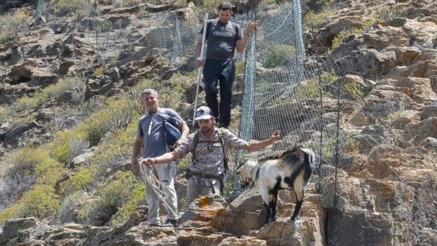 La técnica moja pero no empapa
