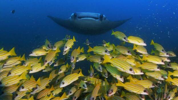 7 planes únicos para este verano en Canarias