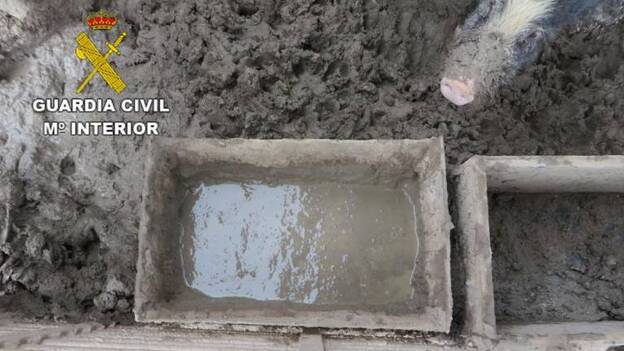 Detenido por tener a sus cerdos en pésimas condiciones