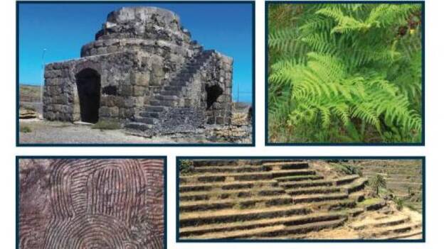 CajaCanarias y la Obra Social “la Caixa” abren el plazo de Ayudas a Proyectos de Investigación 2018