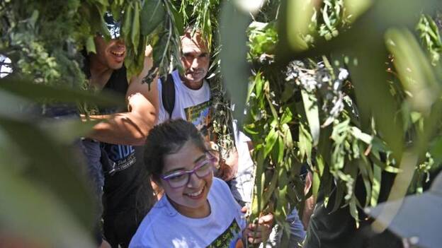 El Valle de Agaete vibra al son de una Rama serena y alegre
