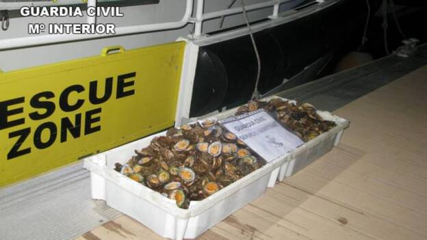 Cogió más lapas de las que debía