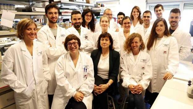 Curan la diabetes tipo 2 y la obesidad en ratones con terapia génica