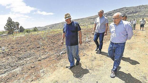 Valsequillo planta 4.377 frutales en 81 fincas en desuso