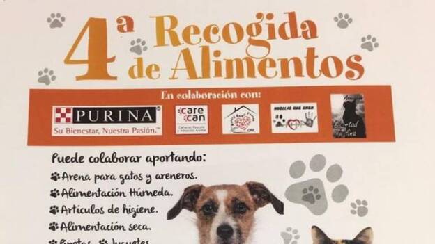 IV Recogida de alimentos para animales necesitados