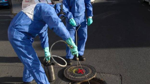 El distrito Centro es el escenario de la tercera operación antirratas