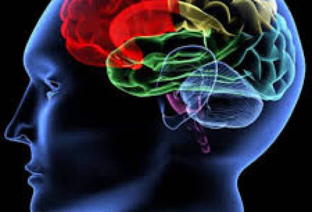 Las enfermedades cardiovasculares y del cerebro comparten síntomas