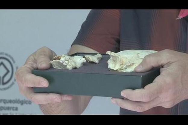 Hallan en Atapuerca restos del cráneo de una homínida de más de 300.000 años