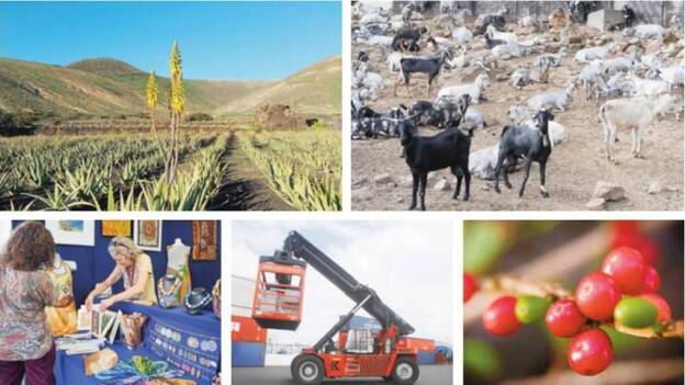 Elaborado en Canarias