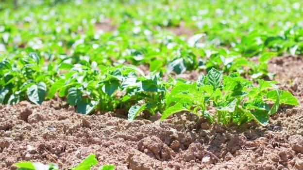 Abriendo fronteras para alcanzar la excelencia