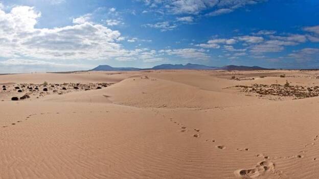 La aguja en el pajar: Identifican polvo del Sáhara en dunas de Fuerteventura
