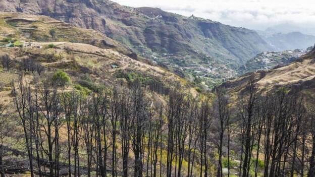 El último gran incendio, por la quema de rastrojos