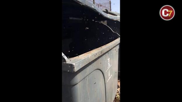 Invasión de moscas mordedoras en La Garita