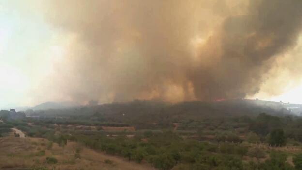 La superficie de bosques en la Tierra ha aumentado en los últimos 35 años