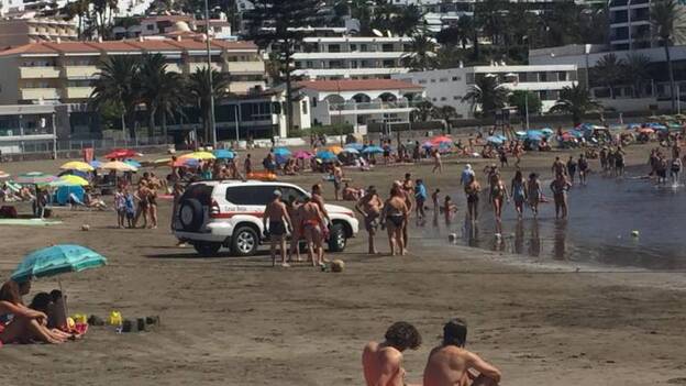 Tres crías de tiburón obligan a izar la bandera roja en Las Burras