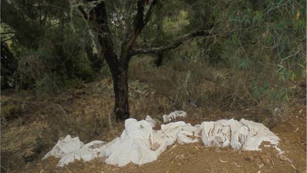 La Vinca denuncia vertidos de escombros y basuras en Teror