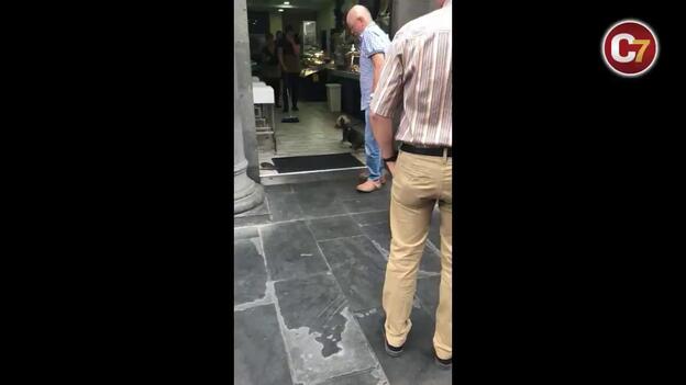 Ratas en la zona comercial de Triana