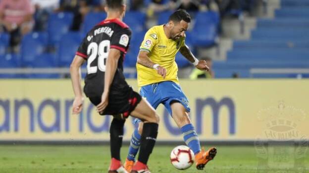 Momo, baja entre 2 y 3 semanas