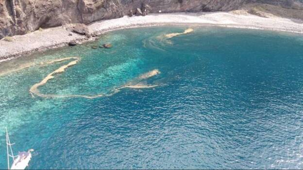 Detectan dos manchas de microalgas en la costa oeste de Tenerife