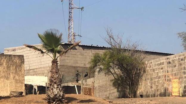 Alertan del maltrato a una docena de perros en una chabola de Las Remudas