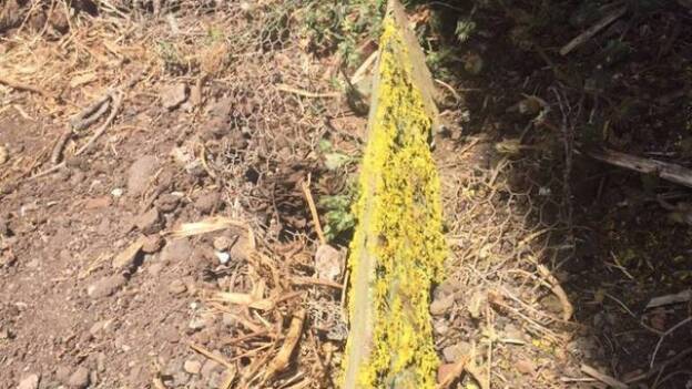La pieza de avión encontrada en una finca de La Laguna es del accidente de Los Rodeos